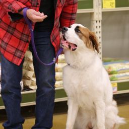 photograph by PeterW